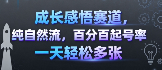 成长感悟赛道，纯自然流，百分百起号率 一天轻松多张_创副业