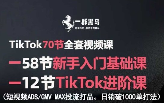 TikTok全套视频课，新手入门+进阶课，短视频ADS-GMV MAX投流打品，日销破1000单打法_创副业