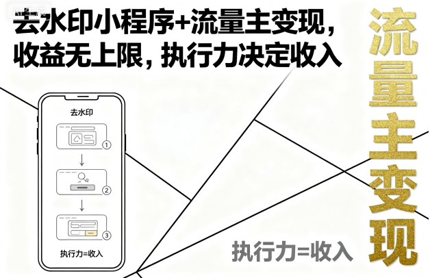 去水印小程序+流量主变现，收益无上限，执行力决定收入_创副业